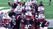 Happy Damiere Byrd GIF by New England Patriots
