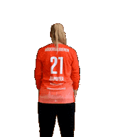 Handball Frauenhandball Sticker by Roedertalbienen