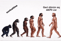Mustafa Kemal Rte GIF