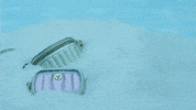 Excited Holiday GIF by Coach