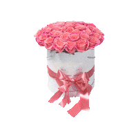 Pink Roses Sticker by Blooming Box