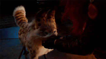 Star Wars Loth Cat GIF by hamlet