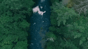 michigan GIF