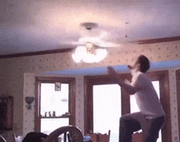 Mika55 fail ceiling fan GIF