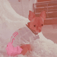 Interested Wait What GIF by Luis Ricardo