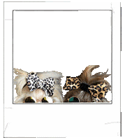 Dottie Dog Sticker