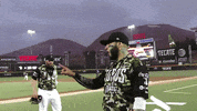 GIF by Toros de Tijuana