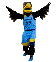 Golden Eagles College Sticker by Marquette  University