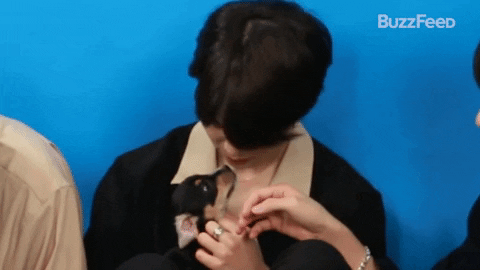 Puppy Kiss GIF by BuzzFeed