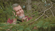 Relax Relaxing GIF