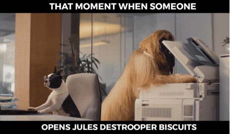 Dogs Office GIF by Jules Destrooper Biscuiterie
