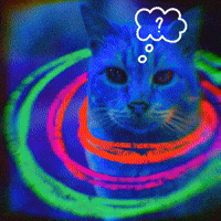 Come On Wow GIF