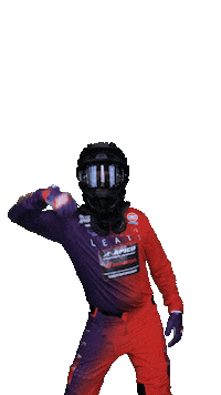 Honda Racing Sticker by ApicoFactoryRacing