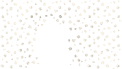 Stars Sticker