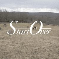 GIF by Charles Schwab