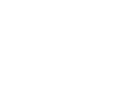 flower tulip Sticker