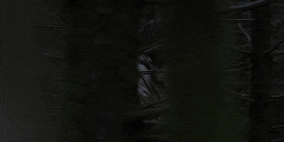 under the skin GIF by A24