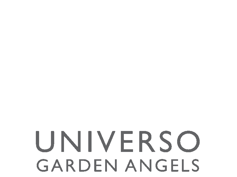 Color Uga Sticker by Universo Garden Angels