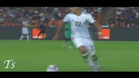 Senegal Algeria GIF by nss sports