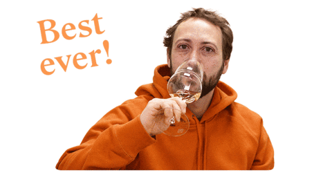 Cheers Wine Sticker by lobenbergs