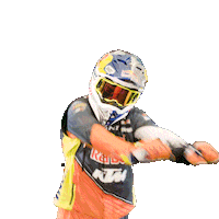 Dakar Sticker by Red Bull