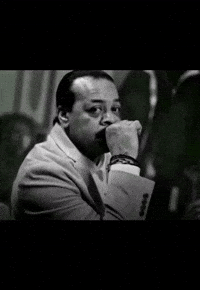 Lmao Wtf GIF