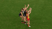 carlton fc GIF by Carlton Football Club