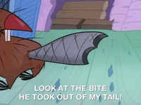 nickrewind nicksplat angry beavers GIF