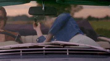 renee zellweger comedy GIF by Bridget Jones