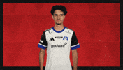 Hamburger Sv Hello GIF by Bundesliga