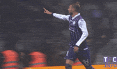 happy come on GIF by Toulouse Football Club