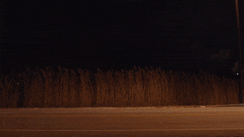 Drunk Charlie Tahan GIF by FILMRISE