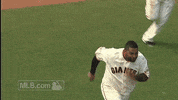 San Francisco Giants Panda GIF by MLB