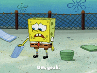 season 4 krusty towers GIF by SpongeBob SquarePants