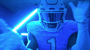Old Dominion Monarchs GIF by ODU Football