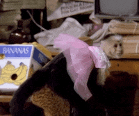 season 1 lol GIF