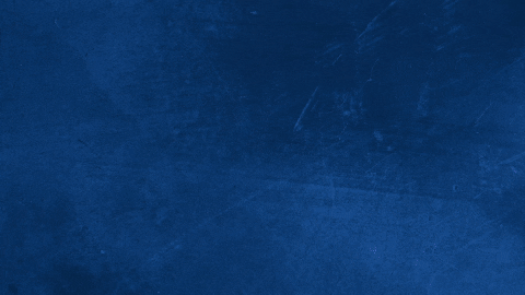 Peek A Boo Hockey GIF by SCStingrays