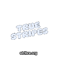 Modern Sticker by stribra