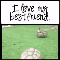 app love GIF by The Videobook