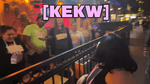 Lmao Laughing GIF