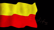 TunturuEdits kannada bangalore karnataka karnataka flag GIF