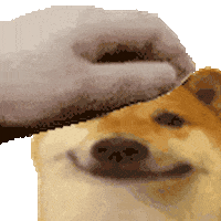 Animated Sticker