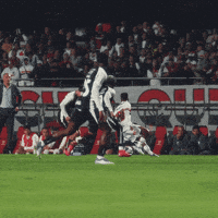 Sao Paulo GIF