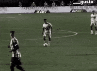 Sao Paulo GIF