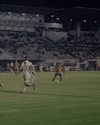 Sao Paulo GIF