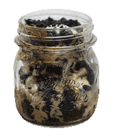 Chocolate Cookie Sticker by 200 Gramos