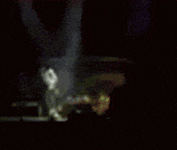 sexuality GIF