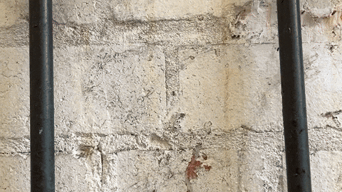 Lager Pint GIF by Forest Road Brewery