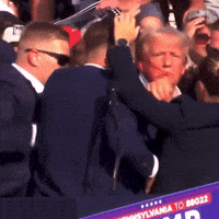 Fight On Donald Trump GIF by TruRebels Distro