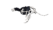 dog running Sticker by G-Star RAW
